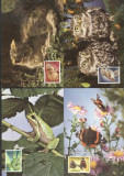 Luxembourg 1985 Endangered animals, 4 Maximum cards K.322