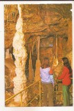 RF115 - Carte Postala - Pestera Ursilor ( Chiscau ) Bihor, necirculata
