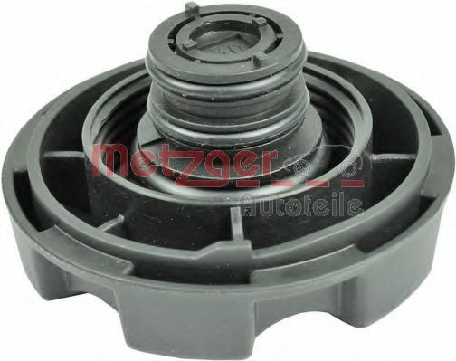 Buson vas expansiune antigel BMW Seria 3 (E90) (2005 - 2011) METZGER 2140102