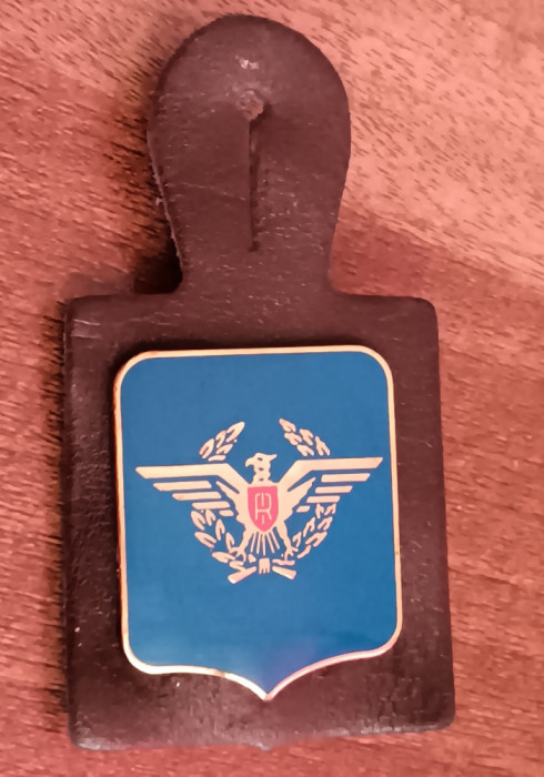 QW8 8 - Insigna - tematica militara - vultur pe laur - suport de piele
