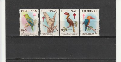 Fauna,pasari,Filipine. foto
