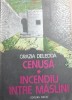 Cenusa.Incendiu intre maslini Grazia Deledda, 1987, Dacia