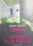 Cenusa.Incendiu intre maslini Grazia Deledda