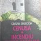 Cenusa.Incendiu intre maslini Grazia Deledda
