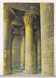 Bnk cp Egipt - Esna - Sala templului lui Khnum - Kruger 748/2 - necirculata, Printata
