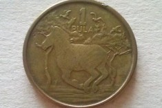 MONEDA 1 PULA 2013-BOTSWANA foto