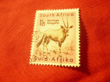 Timbru Africa de Sud 1954 - Fauna - Gazela , val. 1,6$ stampilat