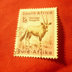 Timbru Africa de Sud 1954 - Fauna - Gazela , val. 1,6$ stampilat