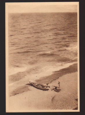 CPIB 21847 - CARTE POSTALA - VASILE ROAITA (EFORIE) PLAJA, LIBRARIA NOASTRA, RPR foto