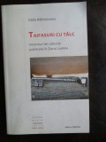 Taifasuri cu talc