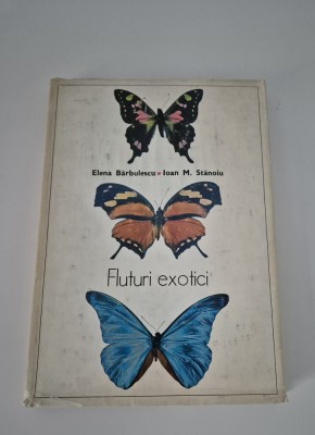 Elena Barbulescu Fluturi exotici foto