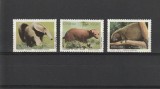Fauna ,furnicar ........,Brazilia., Nestampilat