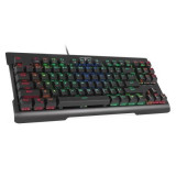 Tastatura mecanica Redragon Visnu RGB