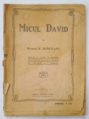 MICUL DAVID de PREOTUL N. RUNCEANU , 1920 foto