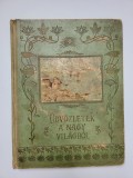Album Foto / Carti Postale Vechi, &quot;VEDERI DIN LUMEA LARGĂ&quot;, ornamente Art Nouveau, ca. 1900!