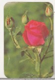 Bnk cld Calendar de buzunar 1981 - Editura Sport Turism