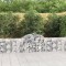 vidaXL Coșuri gabion arcuite 11 buc, 200x30x60/80 cm, fier galvanizat 3146077