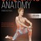 Stretching Anatomy