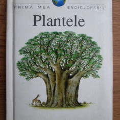 Prima mea enciclopedie. Plantele (1997, editie cartonata)
