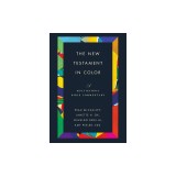The New Testament in Color: A Multiethnic Bible Commentary