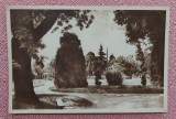 Ramnicu Valcea - Vedere din parc - Circulata, 1958