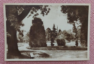 Ramnicu Valcea - Vedere din parc - Circulata, 1958 foto