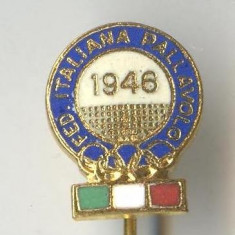 Insigna Olimpica Olimpiada - COMITETUL OLIMPIC cercuri olimpice - Italia 1946