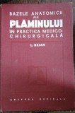 BAZELE ANATOMICE ALE PLAMANULUI - L.BEJAN