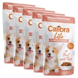 Calibra Dog Life Puppy &amp;amp; Junior Beef with Rice 5 x 150 g