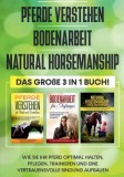 Pferde verstehen Bodenarbeit Natural Horsemanship - Das gro