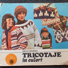 TRICOTAJE IN CULORI - Emilia Moisescu