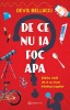 De Ce Nu Ia Foc Apa?, Devis Bellucci - Editura Bookzone