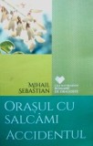 Orașul cu salc&acirc;mi. Accidentul - Mihail Sebastian