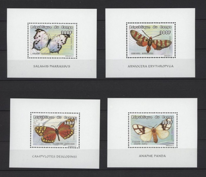 PR CONGO 1999 FAUNA INSECTE FLUTURI