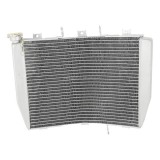 Radiator Kawasaki NINJA ZX6R ZX-6R 1998-2002 A2097
