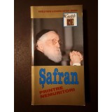 Manase Radnev; Țicu Goldstein - Șafran printre nemuritori (2002)