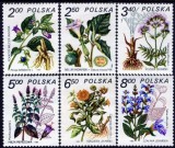 Polonia 1980 - Plante medicinale, flori, serie neuzata