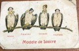 CPISTR8 Ilustrata Modele de Soacre Caricatura Piatra Neamt Timbru Taxa de Plata 1916 / Vintage Mother-in-Law Caricature Romania Postage Due 1916