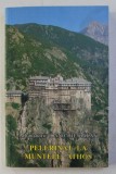 PELERINAJ LA MUNTELE ATHOS ED. a - V - a de IOANICHIE BALAN , 2010