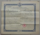 Diploma de licenta Facultatea de Filosofie si Litere Bucuresti/ 1928, Mihai I