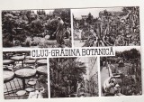 bnk cp Cluj - Gradina botanica - uzata