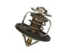 Termostat,lichid racire FORD TRANSIT bus (FD, FB, FS, FZ, FC) (2000 - 2006) TOPRAN 302 141