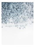 Tablou Canvas, "Zăpadă veșnică peste pădurea albă", Copaci, Zăpadă, Iarnă, Pădure, Alb, Frig, Tăcere, Natura, Vedere, Aeriană, 26 x 39 cm, CMCLASS