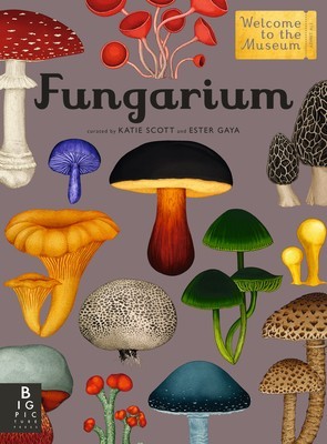 Fungarium: Welcome to the Museum foto