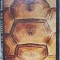 MONUMENTE ALE NATURII DIN ROMANIA-EMIL POP, N. SALAGEANU-237482