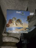 Dal&iacute; - Necunoscut