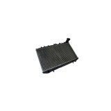 Radiator apa NISSAN PRIMERA Hatchback P10 AVA Quality Cooling DN2096
