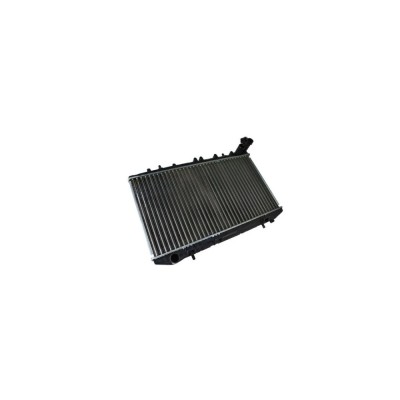 Radiator apa NISSAN PRIMERA Hatchback P10 AVA Quality Cooling DN2096 foto