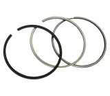 Set segmenti motor Dacia Logan 1.5 dCi cota STD - Breckner Germania
