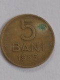 5 bani 1955